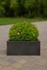 Capri Rectangular Concrete Planter - Modern Elegance for Outdoor Spaces 