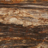 Black Savannah Granite