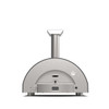 Alfa Classico 2 Pizze Countertop Gas Pizza Oven Ardesia Grey – FXCL-2P-GGRA-U