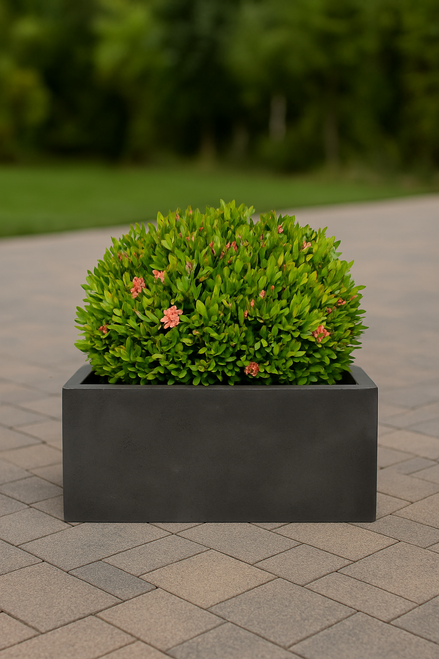Capri Rectangular Concrete Planter - Modern Elegance for Outdoor Spaces  Capri Rectangular Concrete Planter - Modern Elegance for Outdoor Spaces