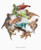 Cake Topper T-rex Dinosaur Doll, 12pcs/set Animal Dinosaur Toy for Decoration