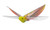 E-Bird Toy Free Flying Bird Without Remote Electronic Children for Christmas