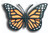 Monarch Butterfly Digital Design File