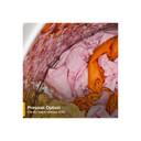 Whirlpool® 5.3 Cu. Ft. IEC Top Load Impeller Washer with Built-in Faucet WTW5020SW