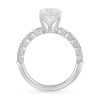 Brilliant-cut Round Diamond Engagement Ring (2.69 ct.tw.)