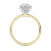 Oval-Cut Diamond Engagement Ring (3.09 ct.tw.)