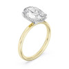 Oval-Cut Diamond Engagement Ring (3.09 ct.tw.)