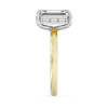 Emerald-Cut Diamond Engagement Ring (3.34 ct.tw.)