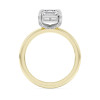 Emerald-Cut Diamond Engagement Ring (3.34 ct.tw.)