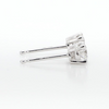 Round Stud Earrings (0.50 ct.tw.)
