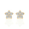 Starlight Studs Earrings (0.25 ct.tw.)