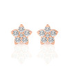 Starlight Studs Earrings (0.25 ct.tw.)