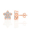 Starlight Studs Earrings (0.25 ct.tw.)