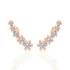 Climber & Crawler Earrings (0.50 ct.tw.)