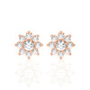 Floral Design Halo Studs Earrings (0.50 ct.tw.)