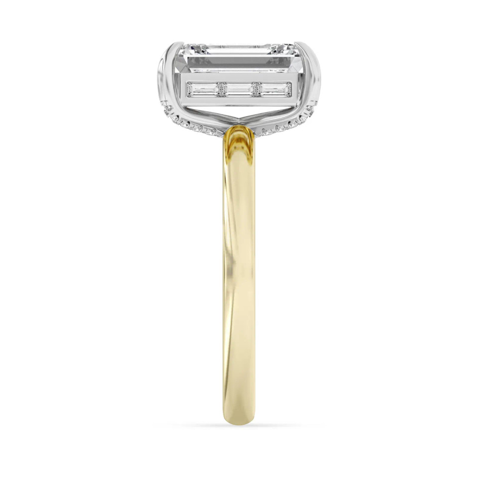Emerald-Cut Diamond Engagement Ring (3.34 ct.tw.)
