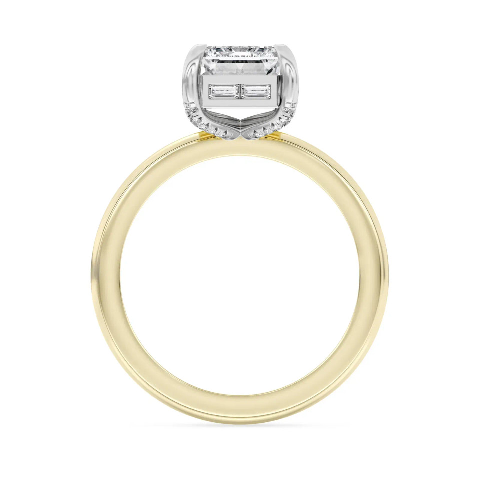 Emerald-Cut Diamond Engagement Ring (3.34 ct.tw.)