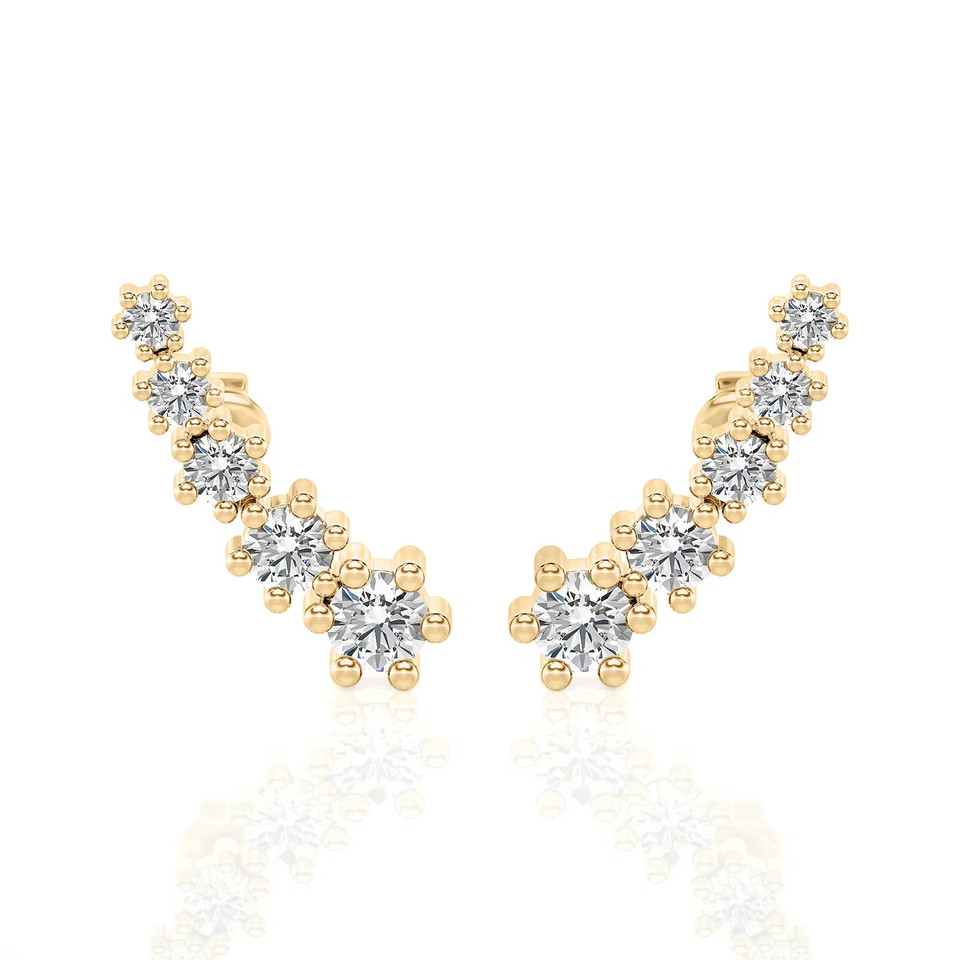 Climber & Crawler Earrings (0.50 ct.tw.)