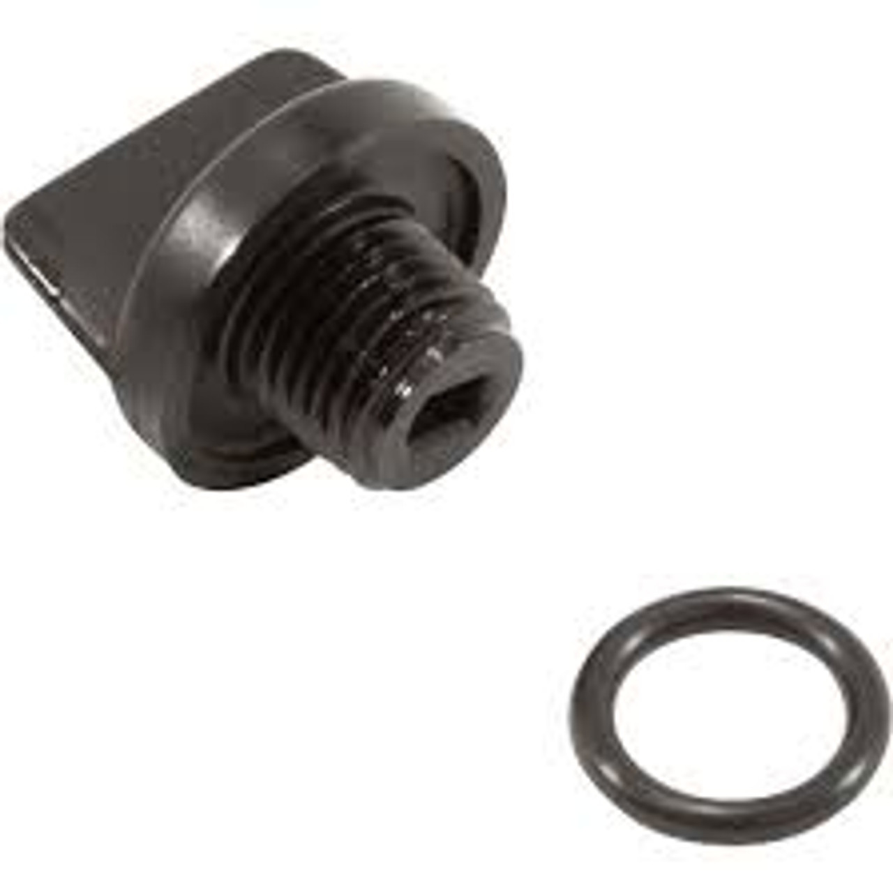 Pentair Drain Plug 1/4 Inch With O-Ring