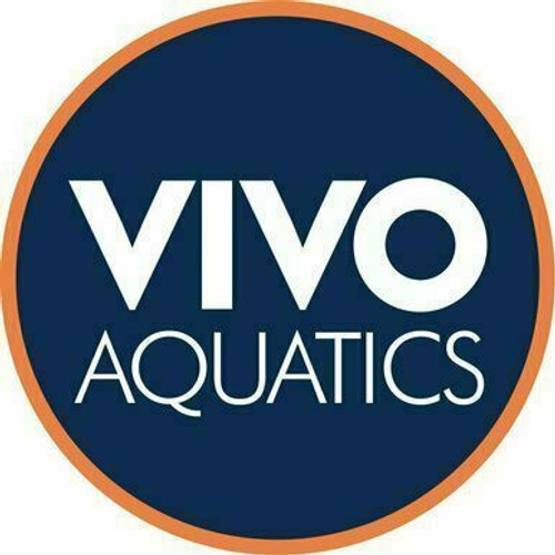 1/2" x 1/4" SCH80 Reducer Bushing SPG X F