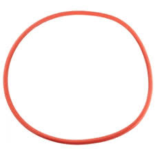 O-Ring replacement for Intelliflo 3 Seal Plate