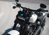 Legend Suspensions AXEO43 Inverted M8 Front Suspension: 18-20 Harley-Davidson Softail Models