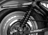 Legend Suspensions Heavy Duty Revo Rear Coil Suspension: 2004+ Harley-Davidson Sportster Models - 12"