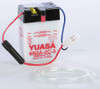 YUASA Conventional 6 Volt Battery: 2 Ω 10-Hr Capacity