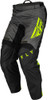 Fly Racing F-16 Pants - 2023 Model