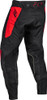 Fly Racing Evolution DST Pants - 2024 Model