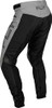 Fly Racing Youth Rayce Bicycle Pants  - 2024 Model