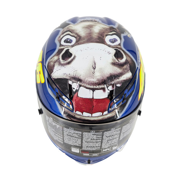 AGV GP Tech Limited Edition - Rossi Misano "Donkey" Helmet - 3XLarge