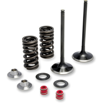 Moose Racing Intake Valve And Spring Kit: 06-09 Suzuki LTR450 QuadRacer