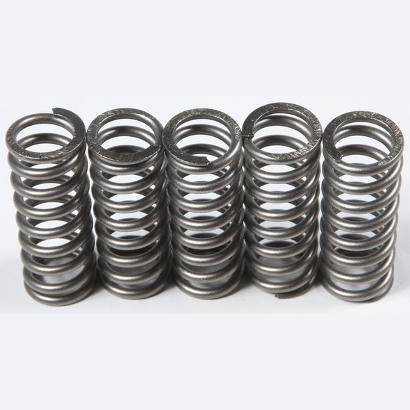 EBC CSK Clutch Spring Kit - CSK214