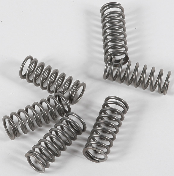 EBC CSK Clutch Spring Kit - CSK198