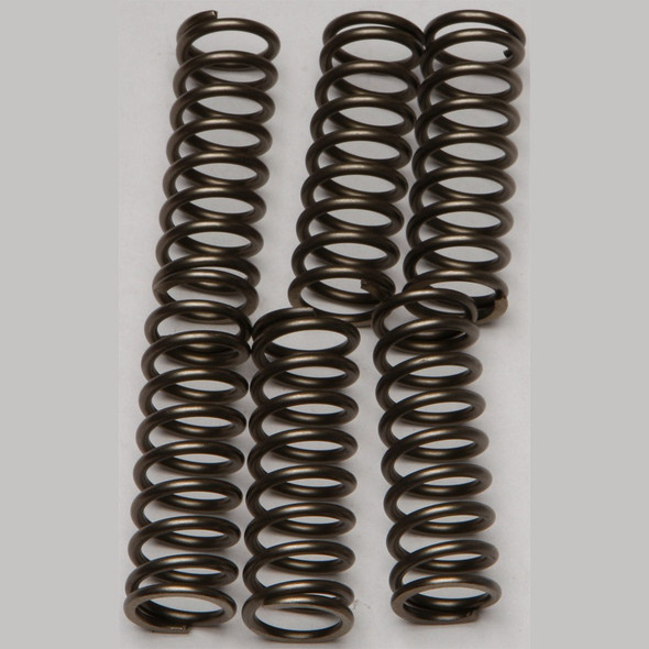 EBC CSK Clutch Spring Kit - CSK160