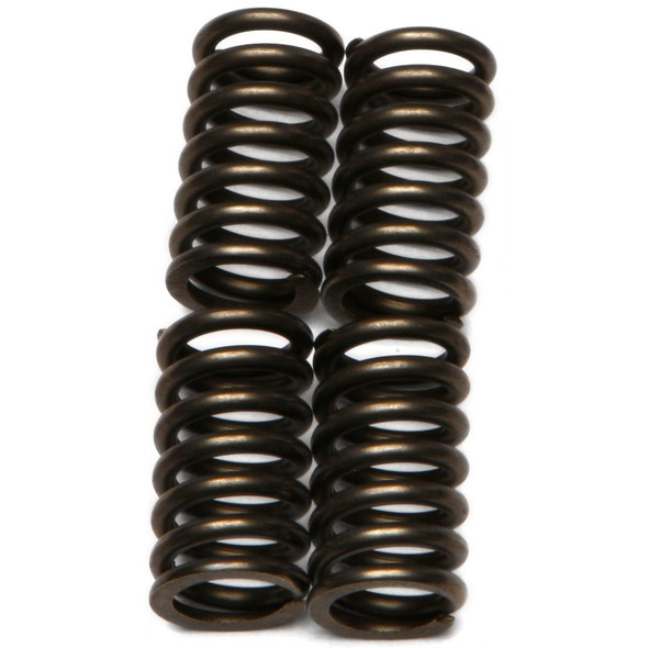 EBC CSK Clutch Spring Kit - CSK115