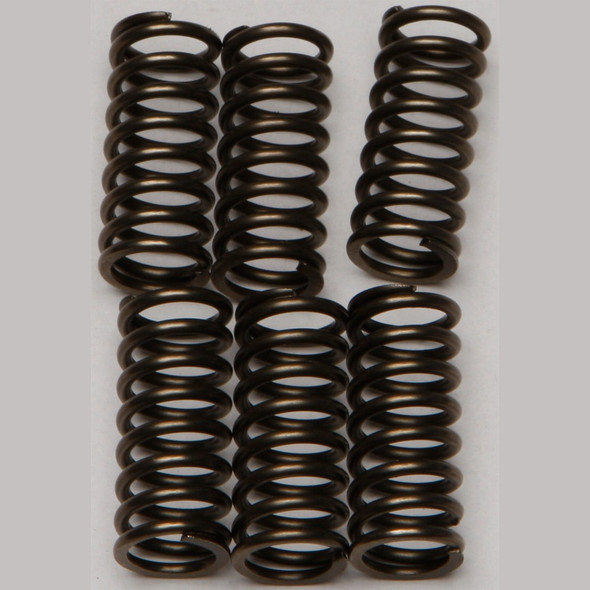 EBC CSK Clutch Spring Kit - CSK144