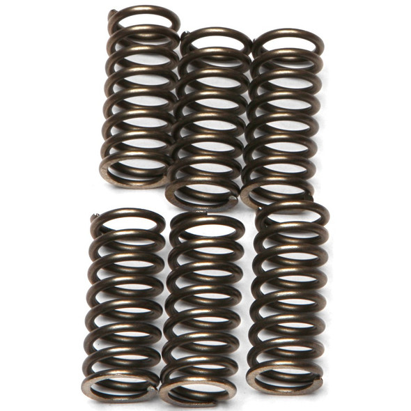 EBC CSK Clutch Spring Kit - CSK120