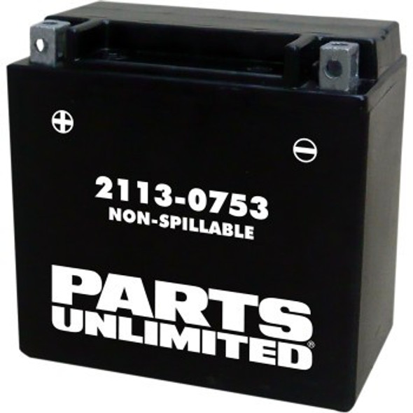 Parts Unlimited AGM Maintenance-Free Battery - YTX14