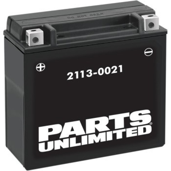 Parts Unlimited AGM Maintenance-Free Battery - YTX20H-BS .95 L