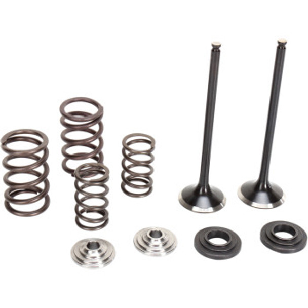 Moose Racing Exhaust Valve And Spring Kit: 10-12 KTM 250SXF