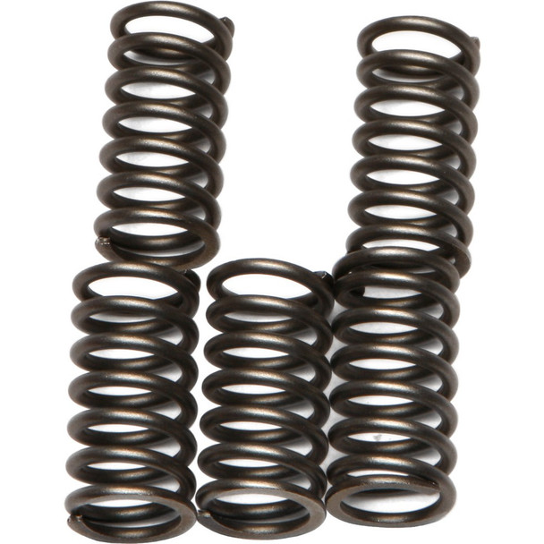 EBC CSK Clutch Spring Kit - CSK56