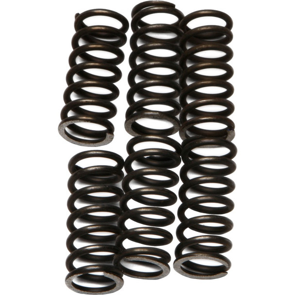 EBC CSK Clutch Spring Kit - CSK46