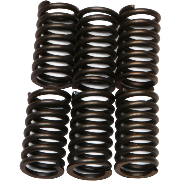 EBC CSK Clutch Spring Kit - CSK41