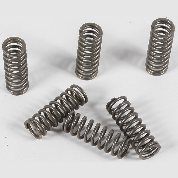 EBC CSK Clutch Spring Kit - CSK90