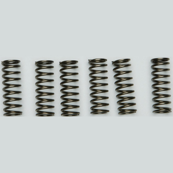 EBC CSK Clutch Spring Kit - CSK205