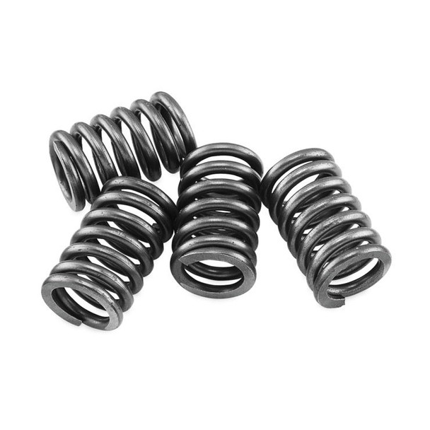 EBC CSK Clutch Spring Kit - CSK218