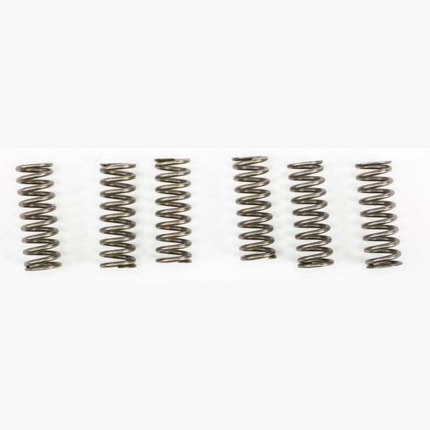 EBC CSK Clutch Spring Kit - CSK213