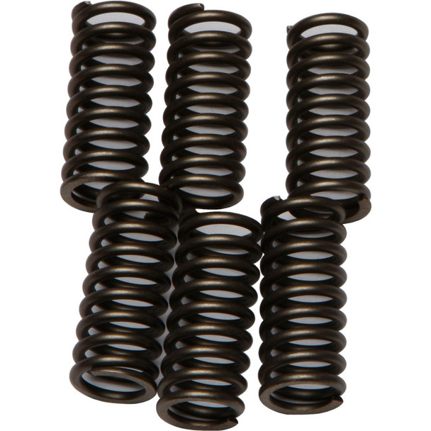 EBC CSK Clutch Spring Kit - CSK102